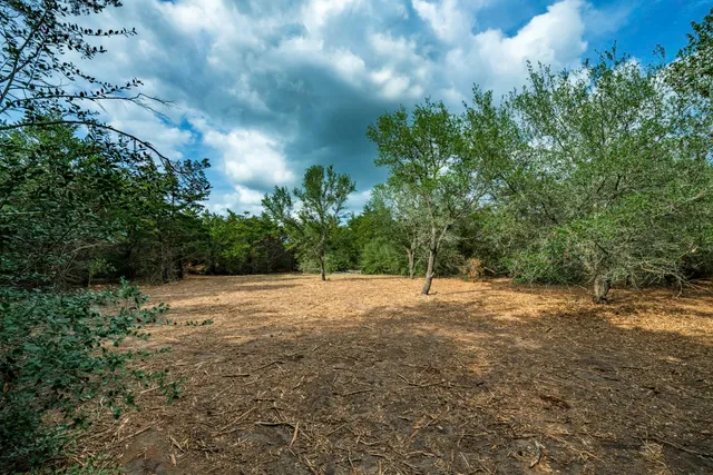 a backyard of a house with lots of green space