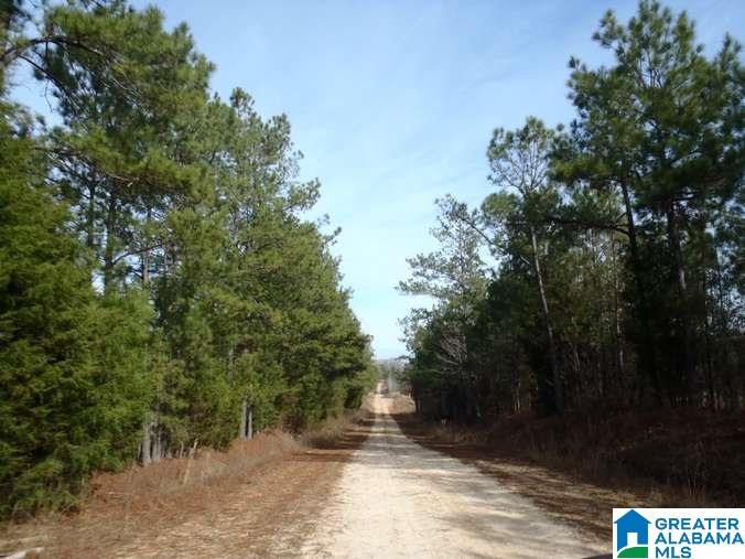 6510 Glovers Ferry Road Alpine, AL 35014 - Photo 18 of 25