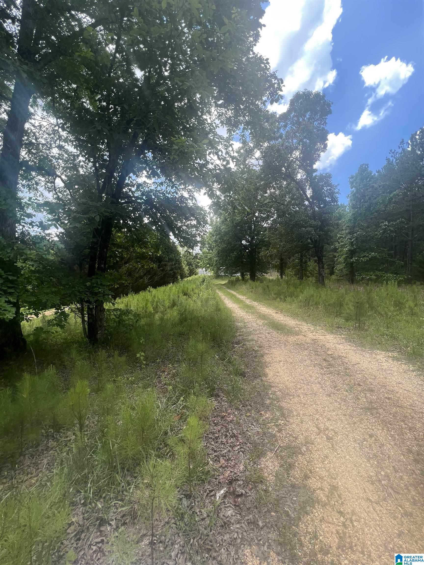 219 Hilltop Road Haleyville, AL 35565 - Photo 2 of 2