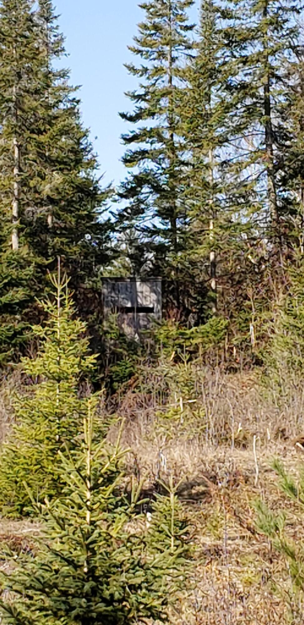 North Point Road Alpena, MI 49707 - Photo 14 of 25 Gallery Image 14