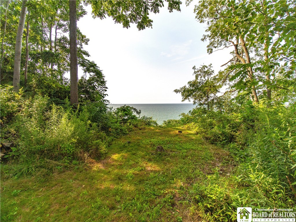 10283 West Lake Road Ripley, NY 14775 - Photo 9 of 17 Gallery Image 9
