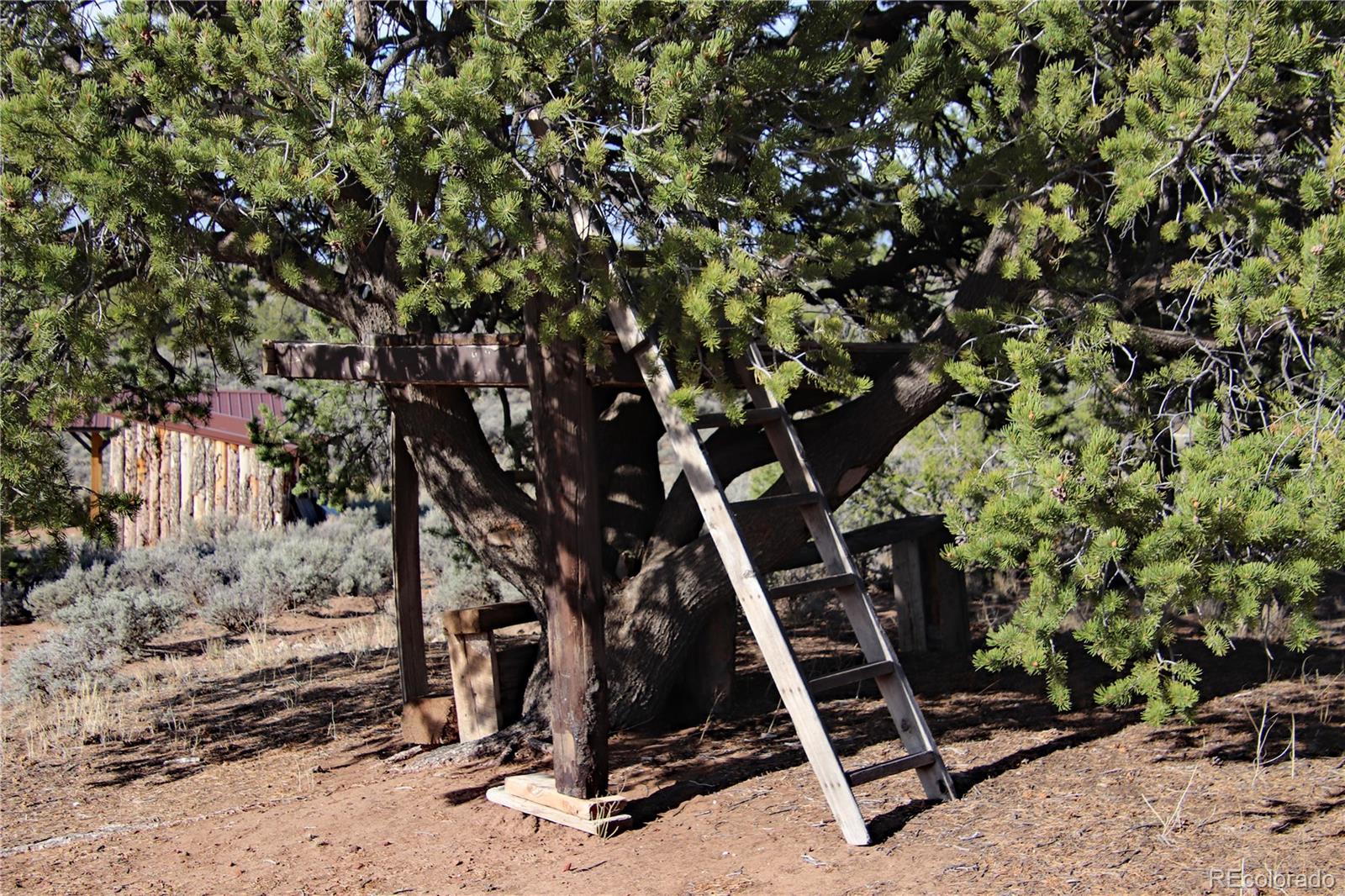 6132 Running Horse Road San Luis, CO 81152 - Photo 39 of 45 a view of a yard