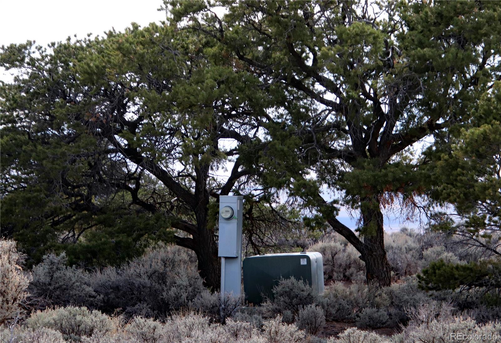 6132 Running Horse Road San Luis, CO 81152 - Photo 41 of 45 a view of a tree in a garden