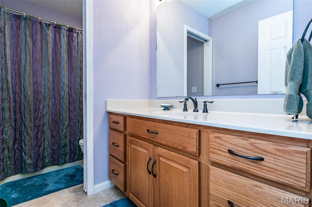 3645 Willoughby Circle Shiloh, IL 62221 - Photo 42 of 65