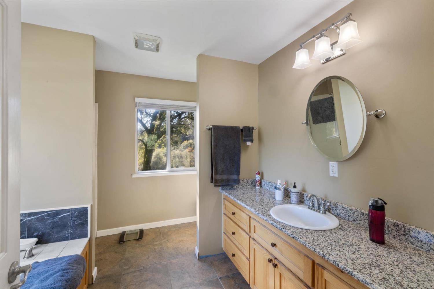 2870 Sand Ridge Road Placerville, CA 95667 - Photo 40 of 91 a bathroom with a double vanity sink and a mirror