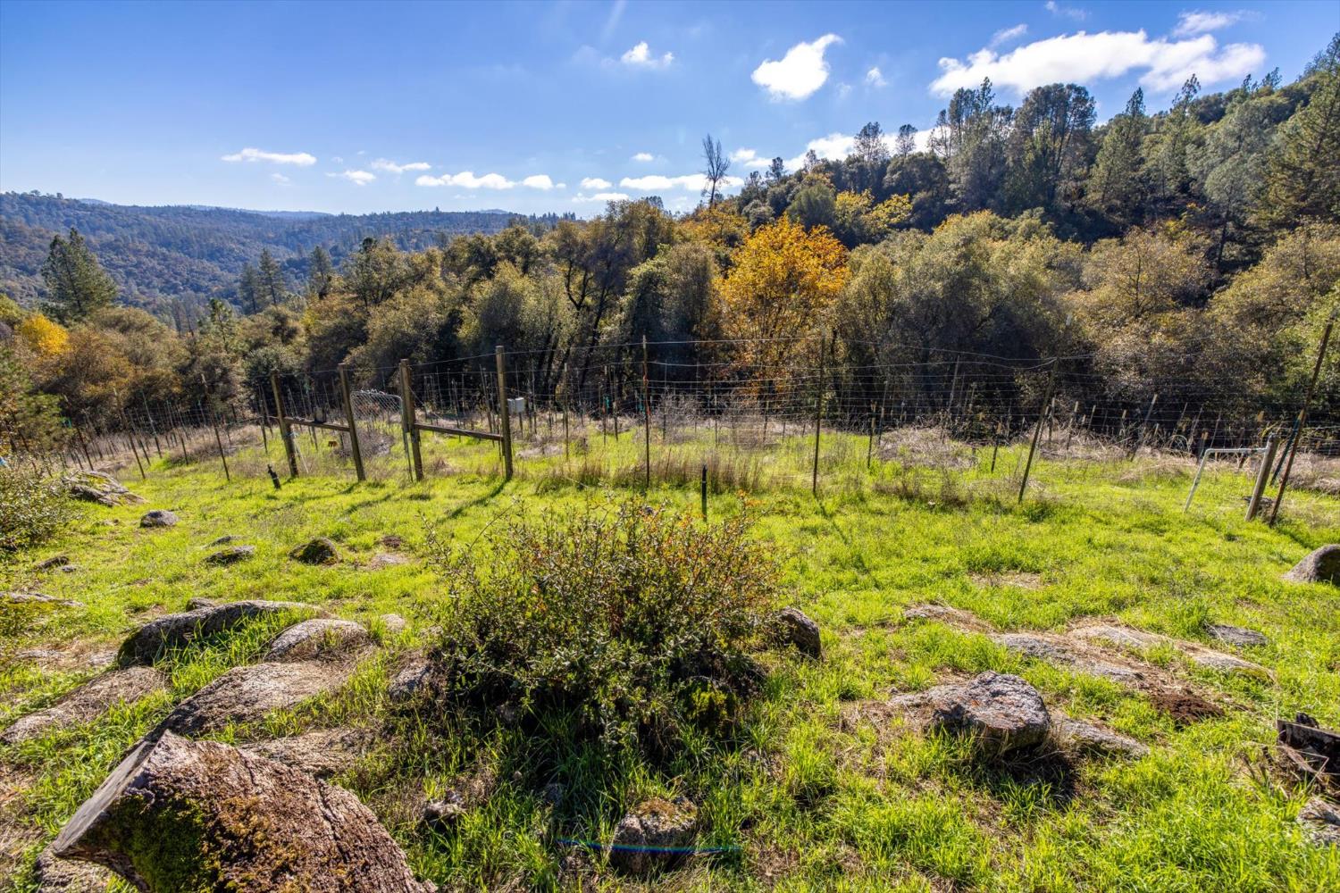 2870 Sand Ridge Road Placerville, CA 95667 - Photo 61 of 91