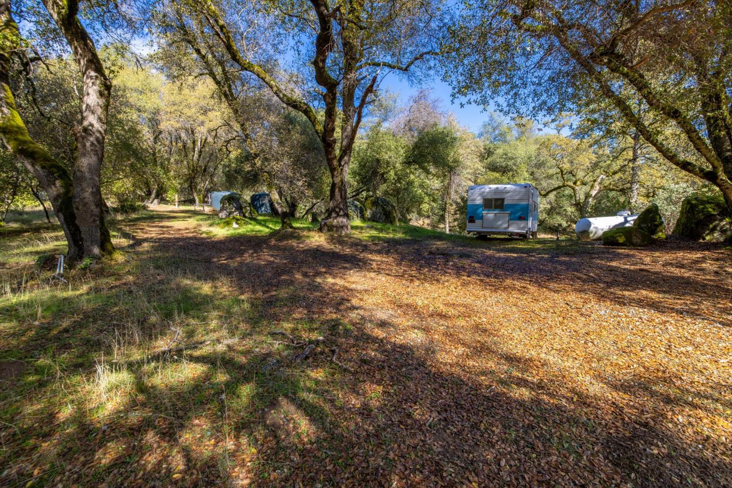 2870 Sand Ridge Road Placerville, CA 95667 - Photo 72 of 91 a view of a yard with a tree