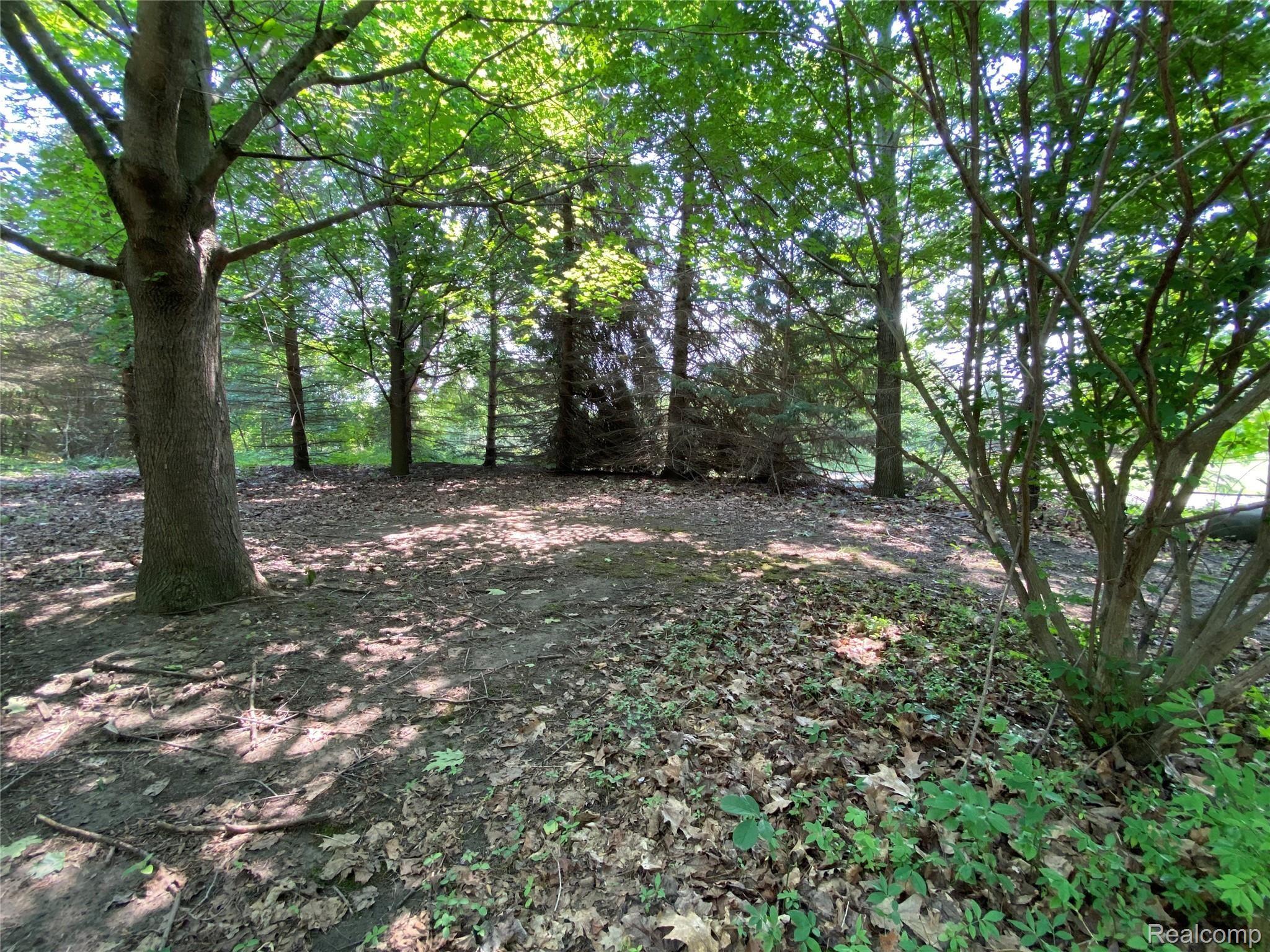 71050 Coon Creek Road Armada, MI 48005 - Photo 72 of 99 IMG_4124.JPG