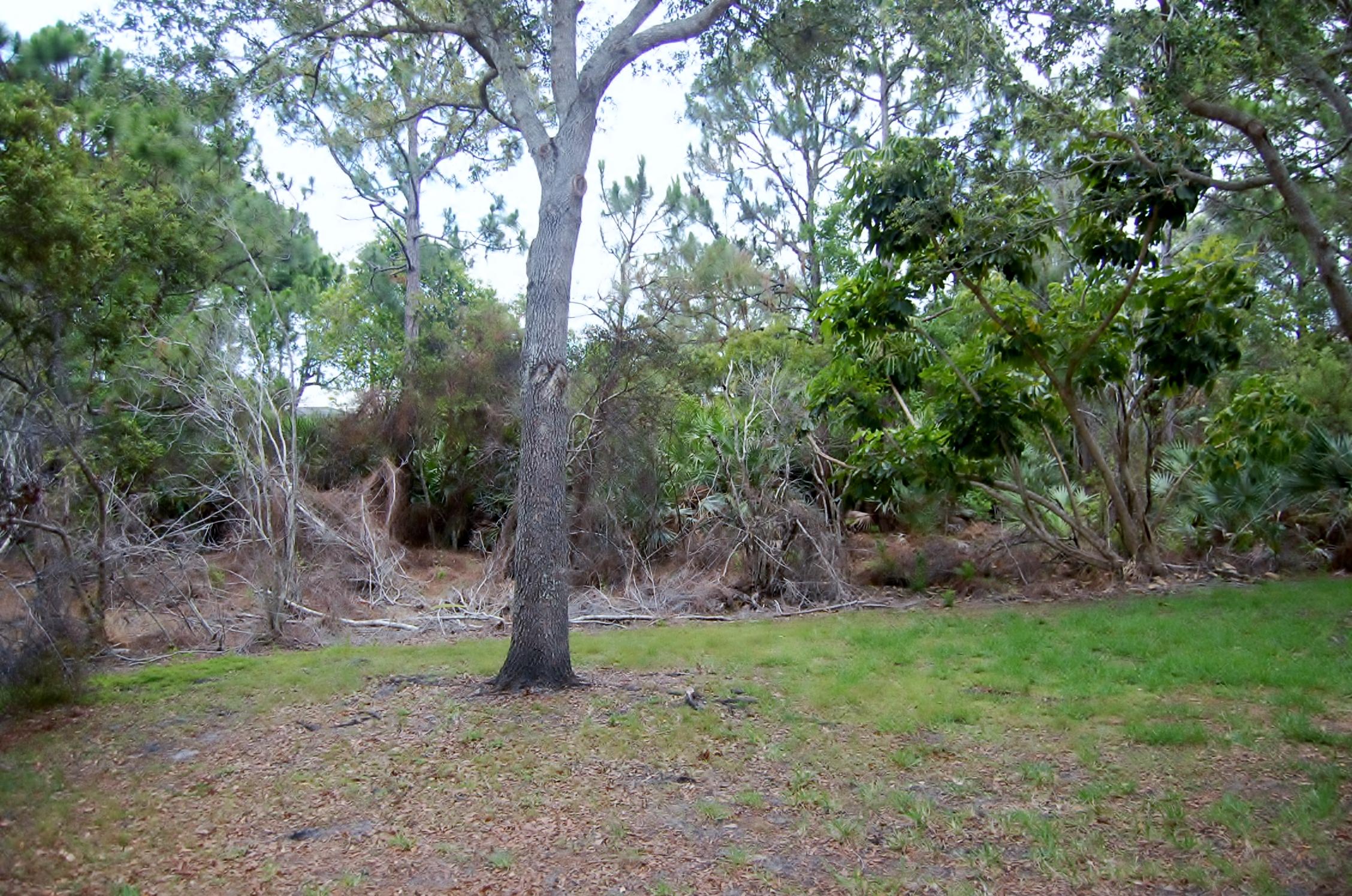 7196 Southeast Magellan Lane Stuart, FL 34997 - Photo 26 of 31 Back yard Preserve Area