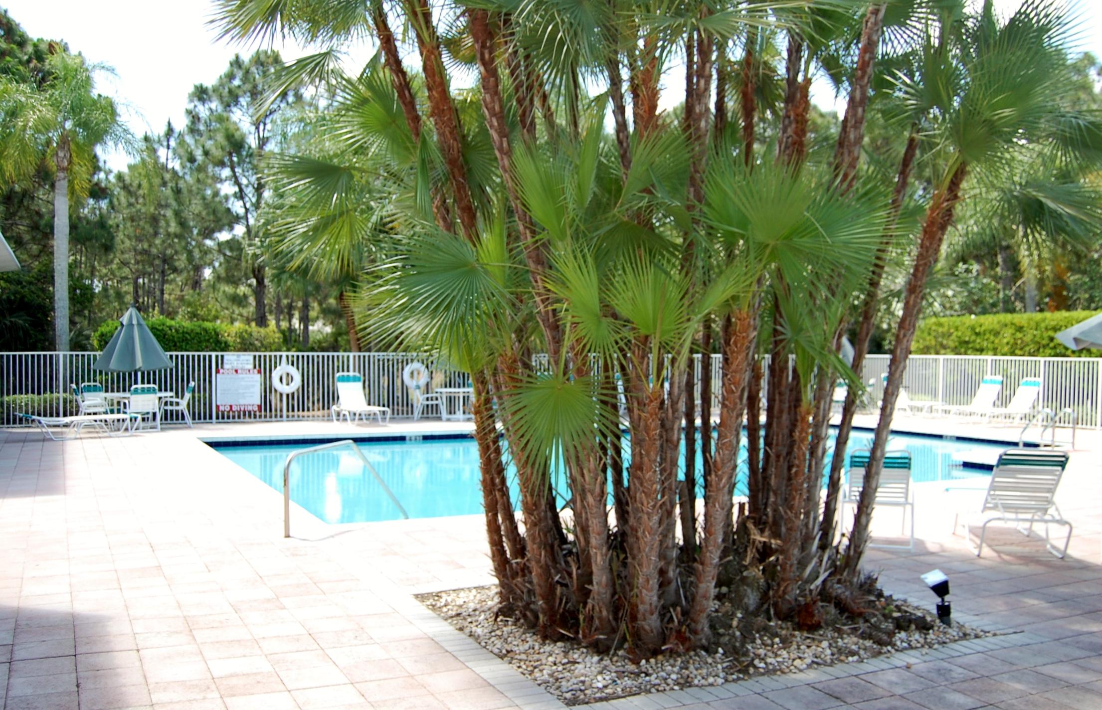 7196 Southeast Magellan Lane Stuart, FL 34997 - Photo 27 of 31 Community Pool