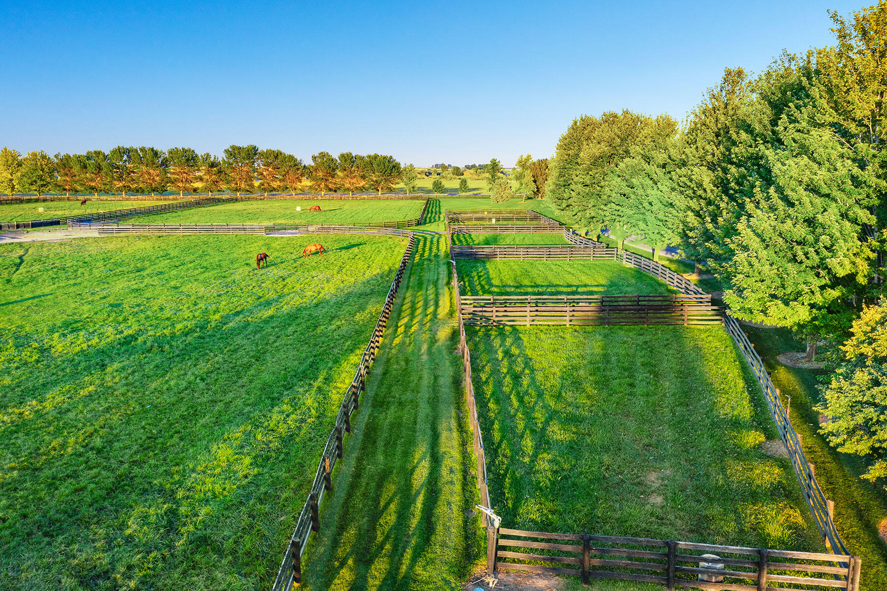 26263 Highway 95 Parma, ID 83660 - Photo 15 of 93 parma-lodge-015