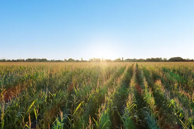 $22,500,000 | 26263 Highway 95, Parma, ID 83660