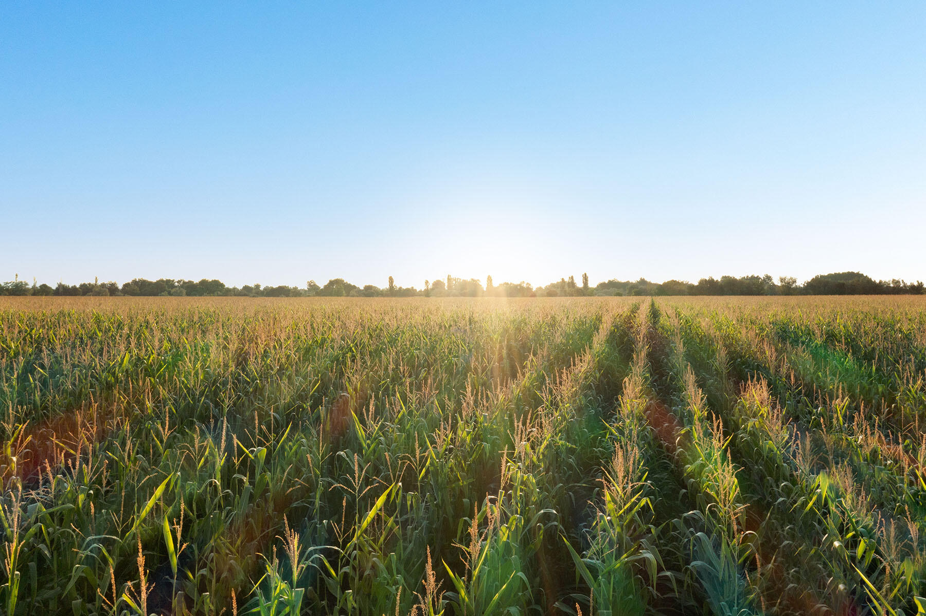26263 Highway 95 Parma, ID 83660 - Photo 63 of 93 parma-lodge-063