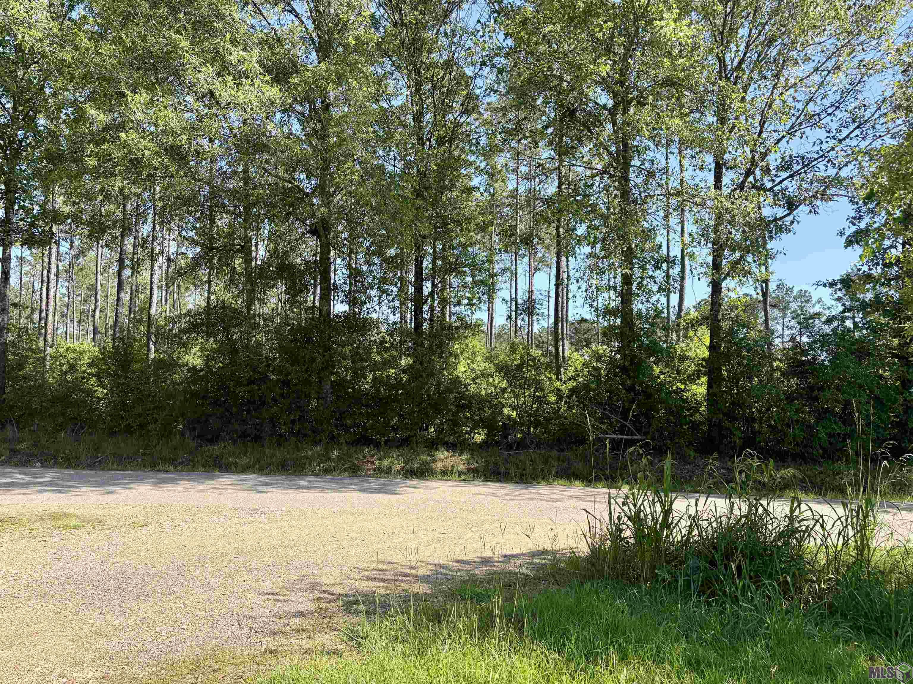 14936 Pace Road Clinton, LA 70722 - Photo 2 of 4