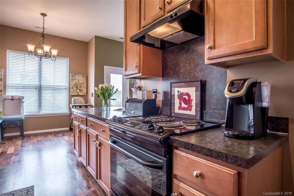 13520 Swinton Road Huntersville, NC 28078 - Photo 13 of 26 Gallery Image 13