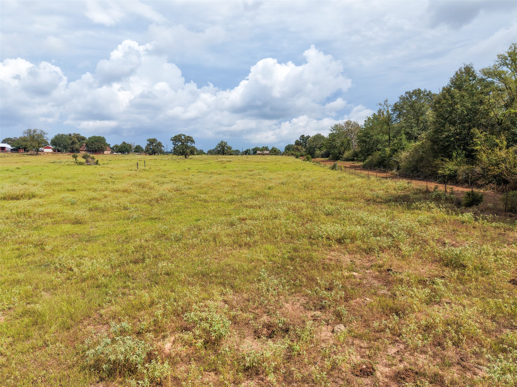 38021 Wiggins Road Hempstead, TX 77445 - Photo 6 of 19 Expansive open pasture offers plenty of usable land surrounded by mature tree lines and peaceful country views.