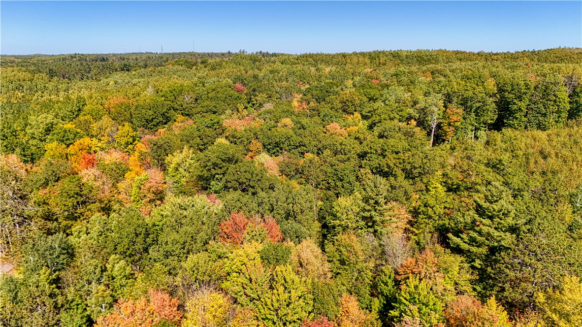 Lot 7 Secluded Trail Hayward, WI 54843 - Photo 4 of 41