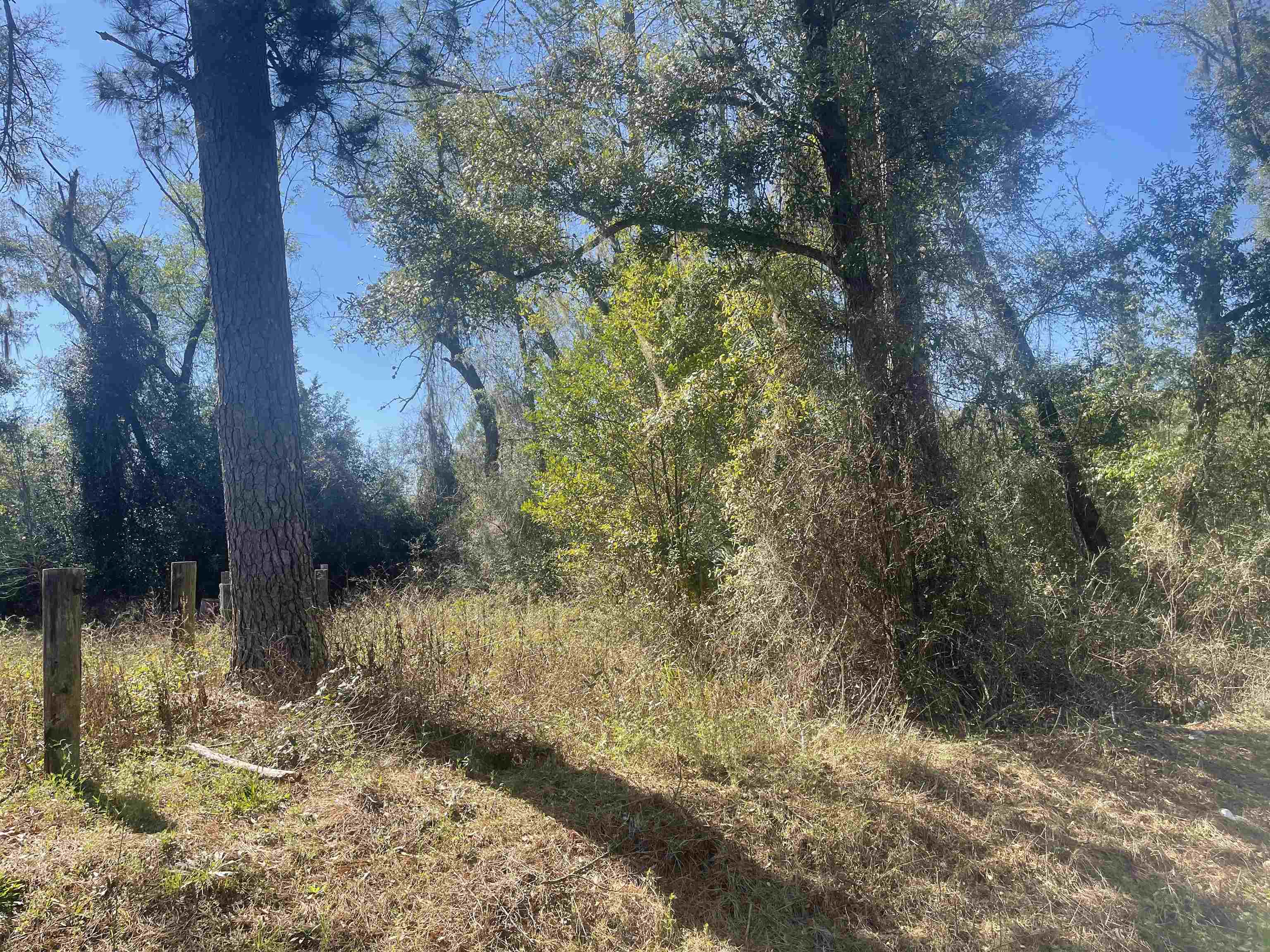 Xx Tafflinger Road Crawfordville, FL 32327 - Photo 1 of 2 Gallery Image 1