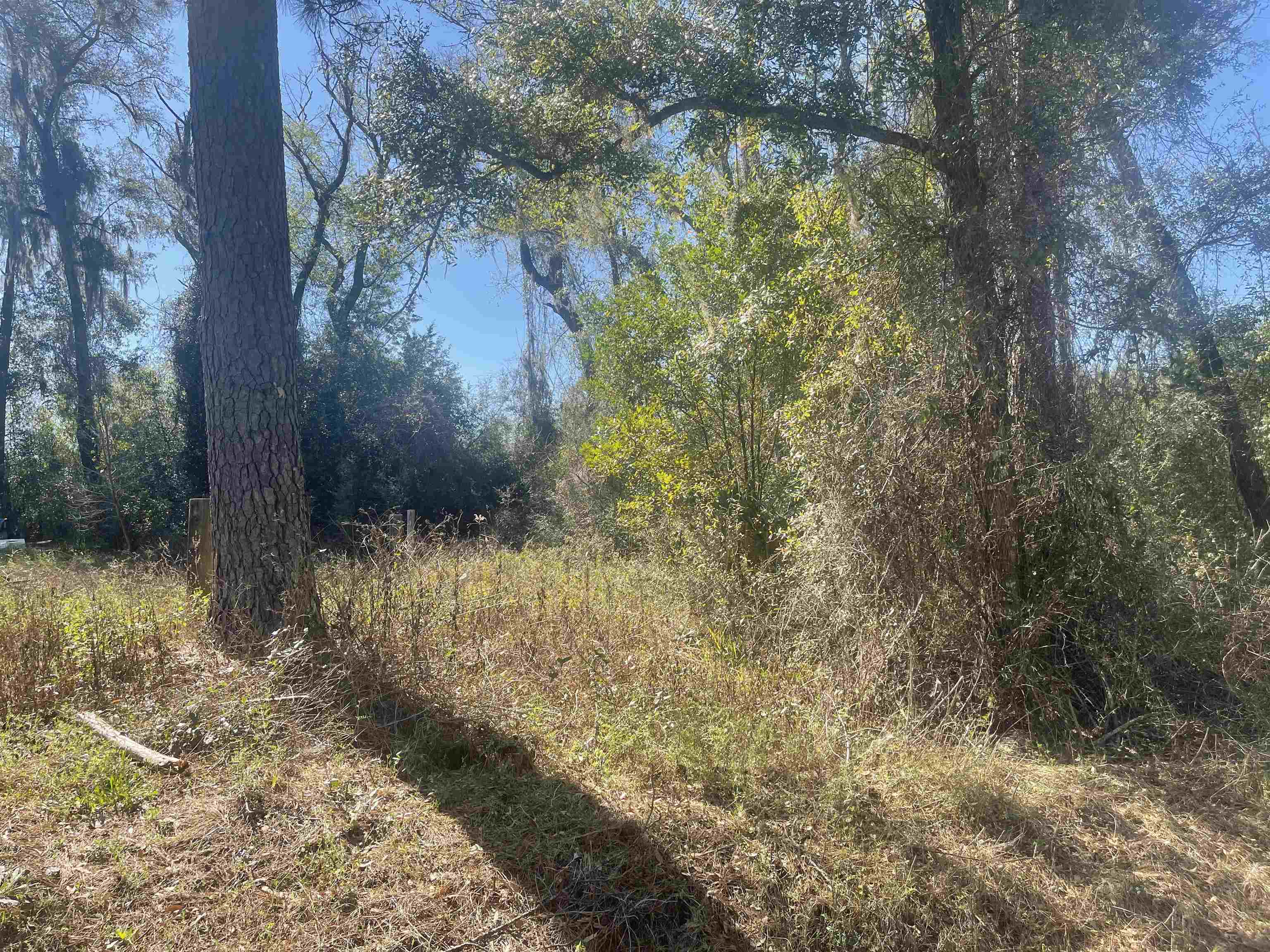 Xx Tafflinger Road Crawfordville, FL 32327 - Photo 2 of 2 Gallery Image 2