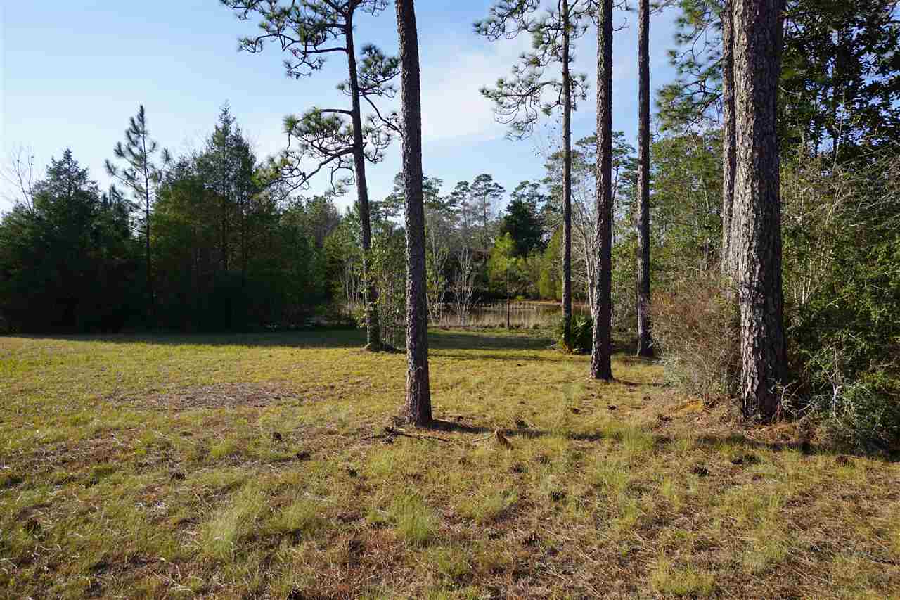 31079 Highway 90 Seminole, AL 36574 - Photo 4 of 33