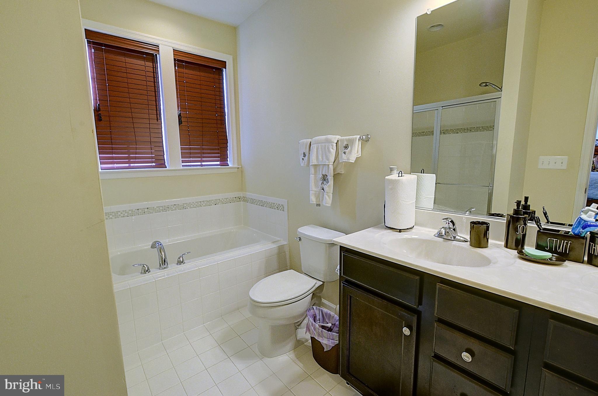 12801 Ricker Road Upper Marlboro, MD 20772 - Photo 18 of 27 a bathroom with a sink a toilet and shower