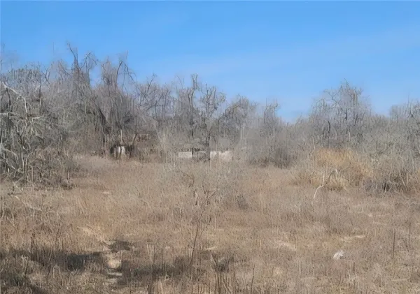a view of a dry yard with trees in the background