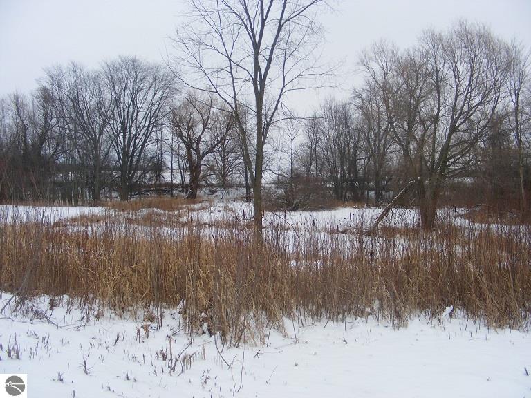10790 East Boyer Road Carson City, MI 48811 - Photo 24 of 27 1777389-23.JPG