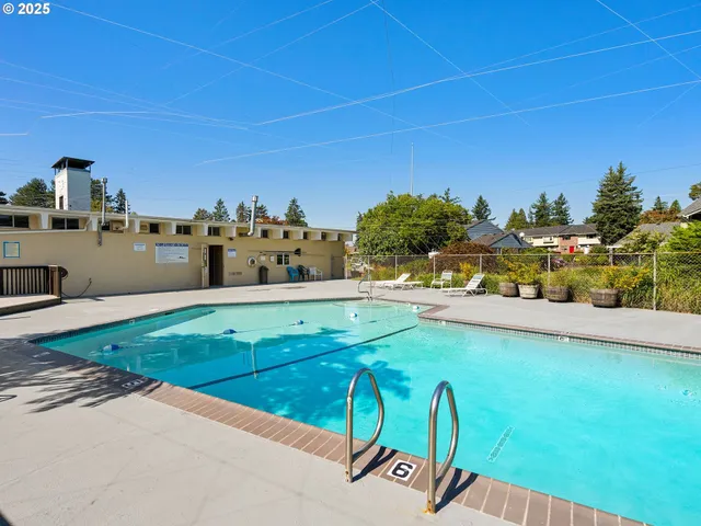 a view of a swimming pool with lawn chairs and plants