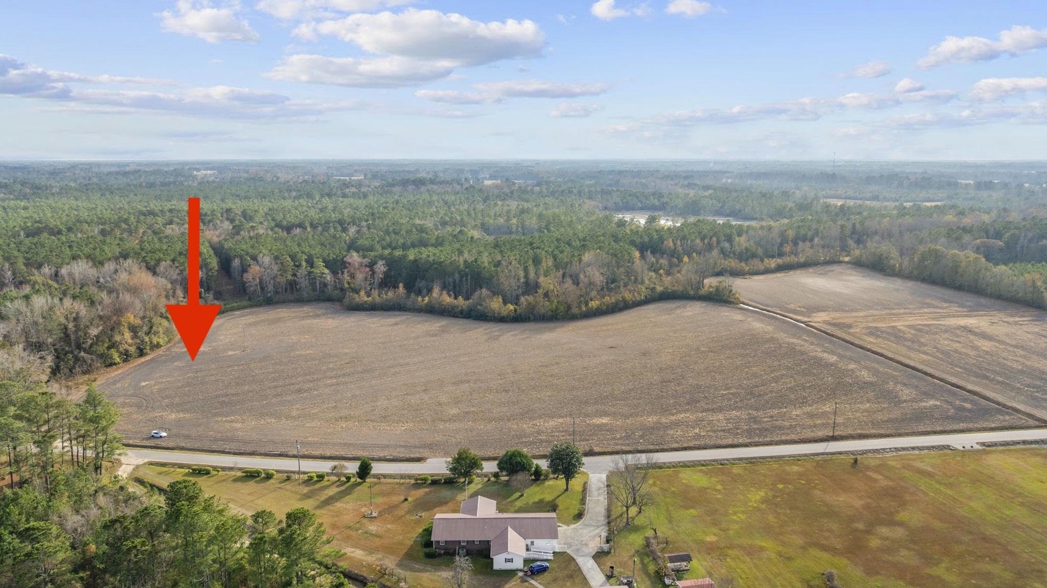 Tbd Bertie Road Green Sea, SC 29545 - Photo 5 of 5