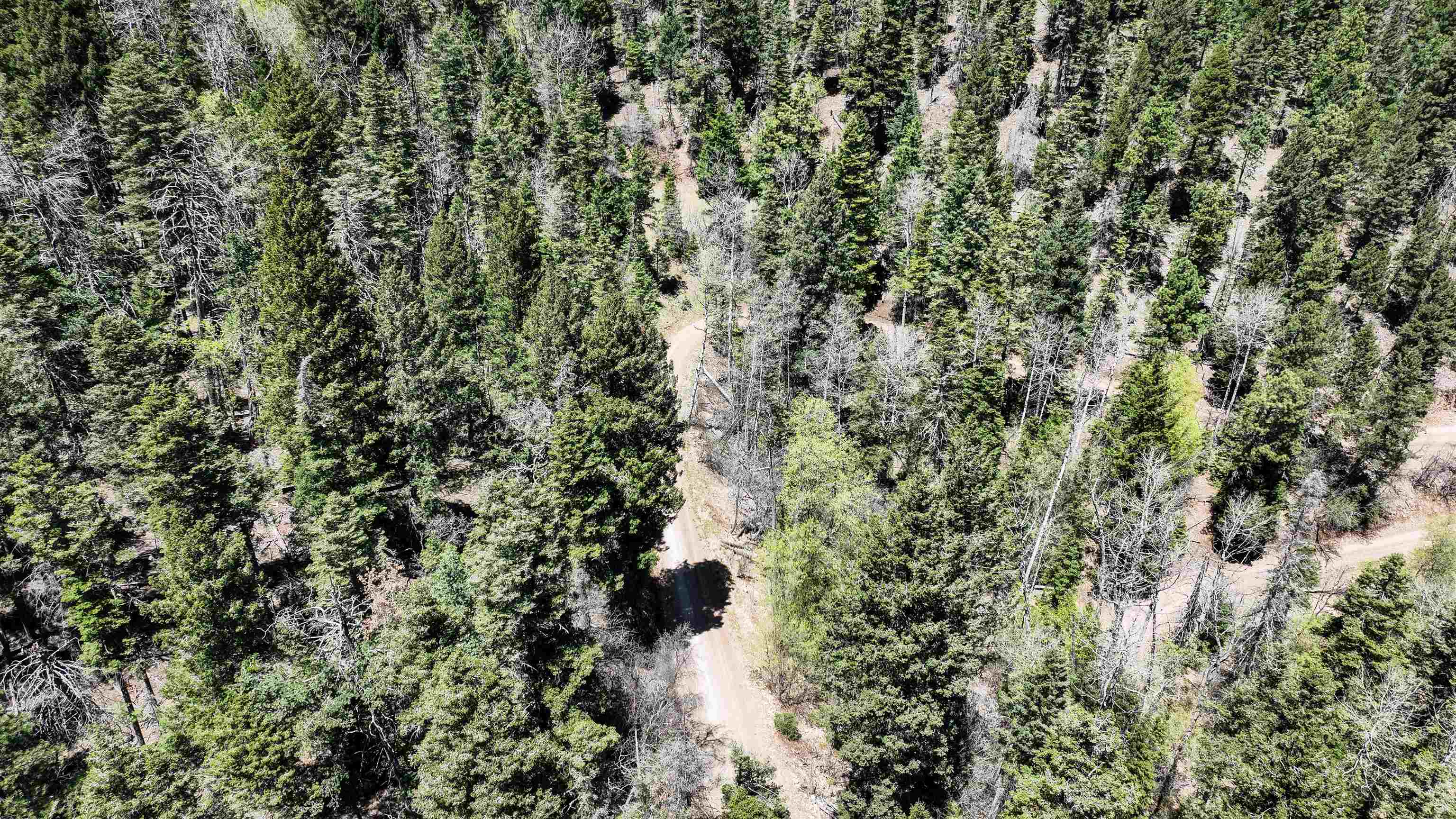 Raspberry Hill Road Cloudcroft, NM 88317 - Photo 13 of 14 Gallery Image 13