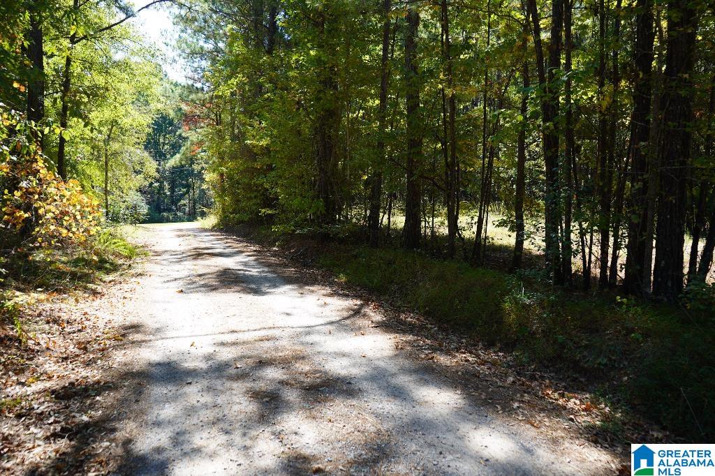 Oak Road, Unit 2 Sylacauga, AL 35151 - Photo 13 of 24 Gallery Image 13