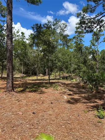 $16,000 | 1116 Belmonte Drive, Indian Lake Estates, FL 33843