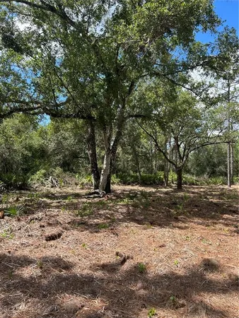$16,000 | 1116 Belmonte Drive, Indian Lake Estates, FL 33843