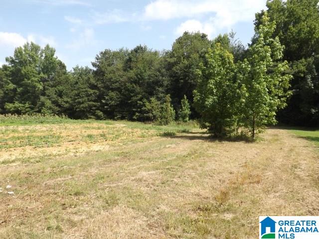 915 Burgett Road Altoona, AL 35952 - Photo 2 of 36