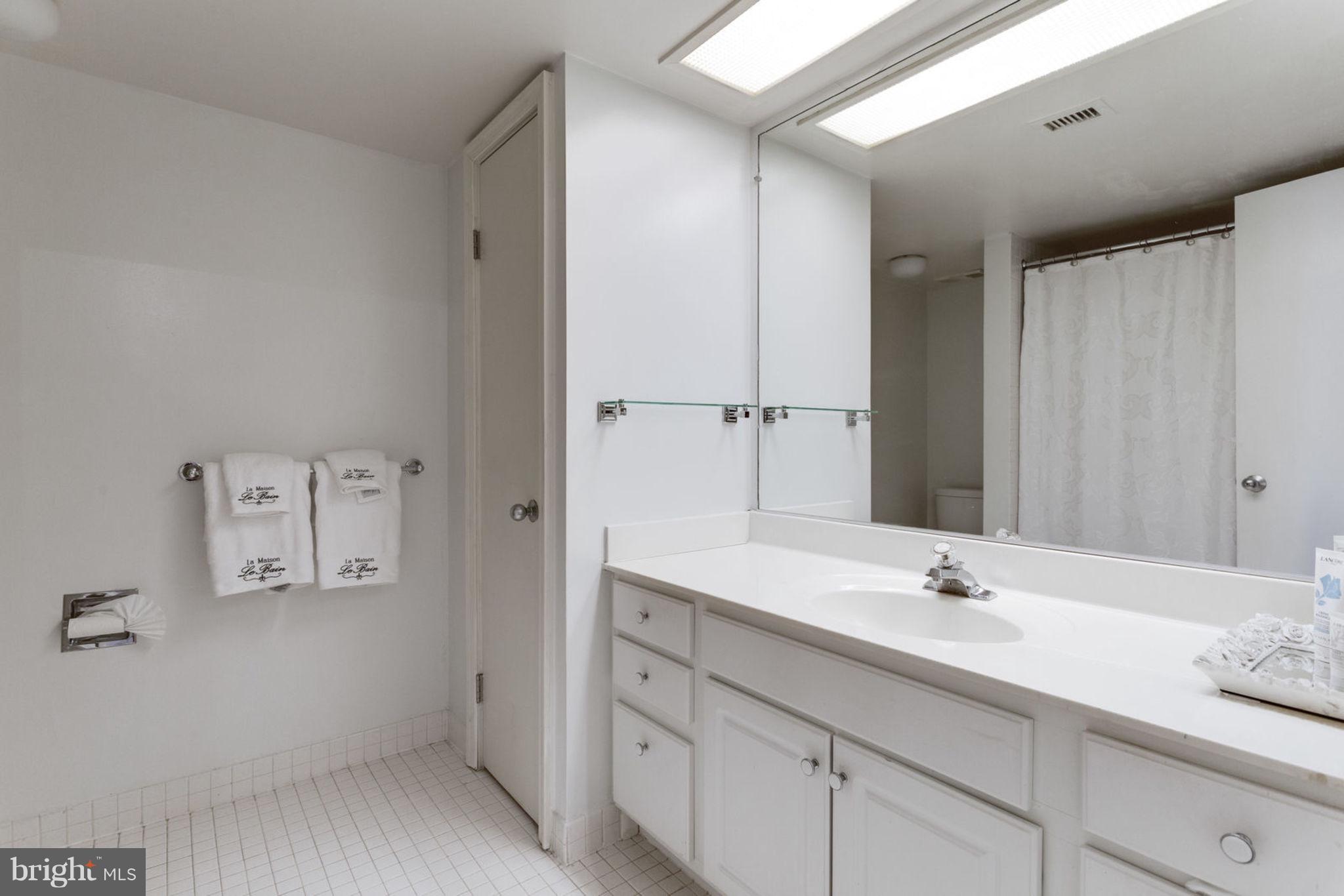 5501 Seminary Road, Unit 912S Falls Church, VA 22041 - Photo 29 of 53 Bathroom # 2