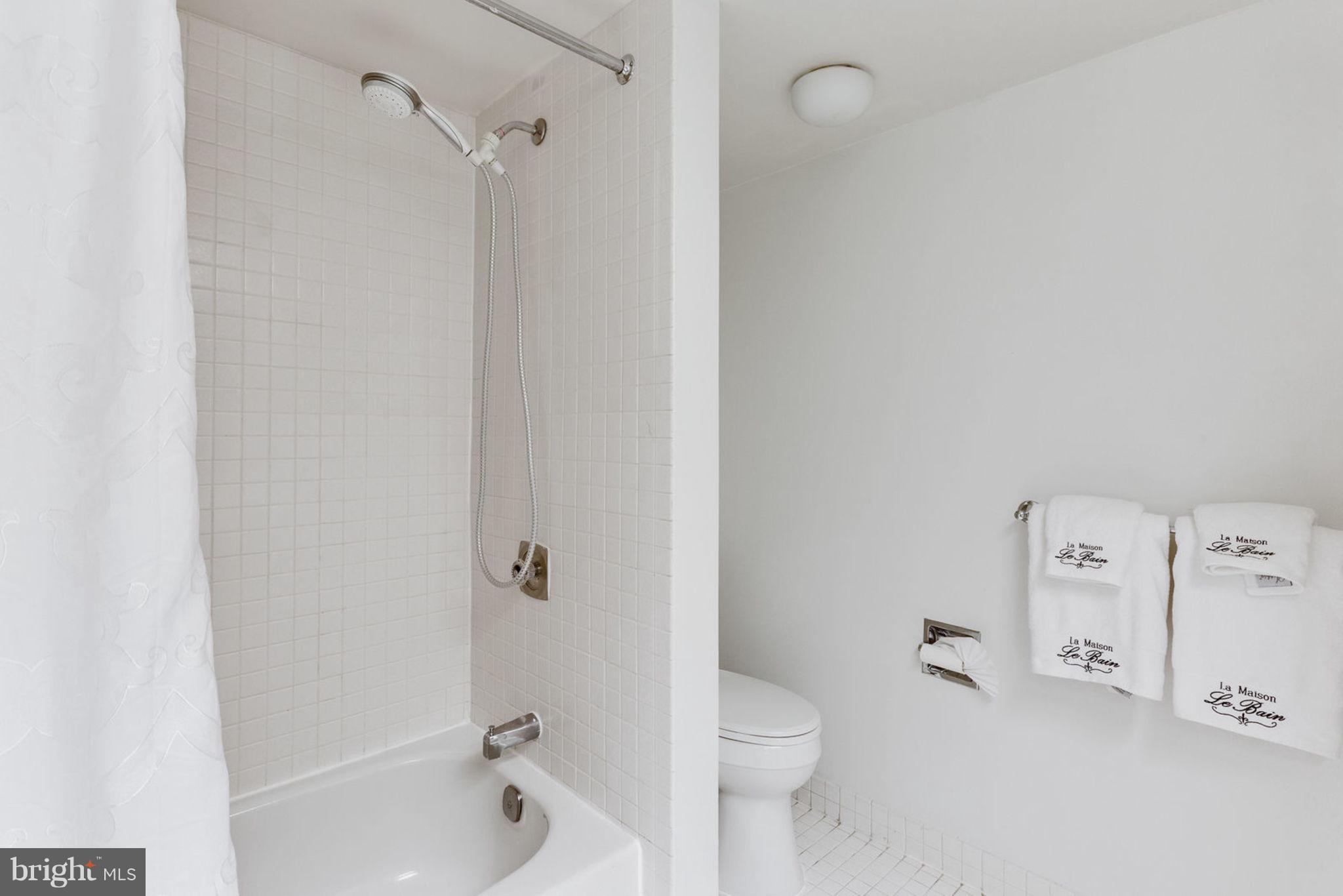 5501 Seminary Road, Unit 912S Falls Church, VA 22041 - Photo 30 of 53 Bathroom # 2