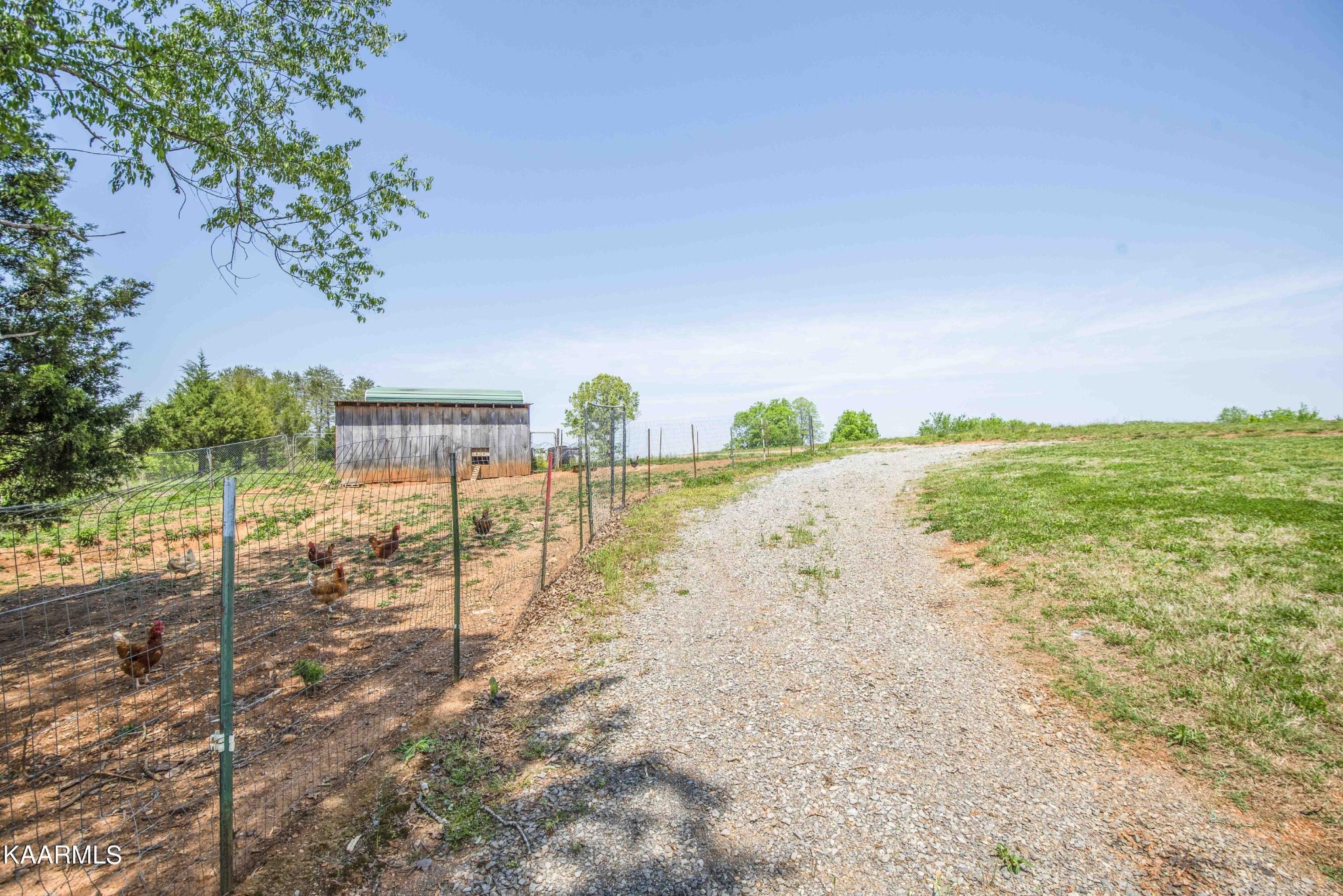 30981 Axley Chapel Road Greenback, TN 37742 - Photo 10 of 46 Gallery Image 10