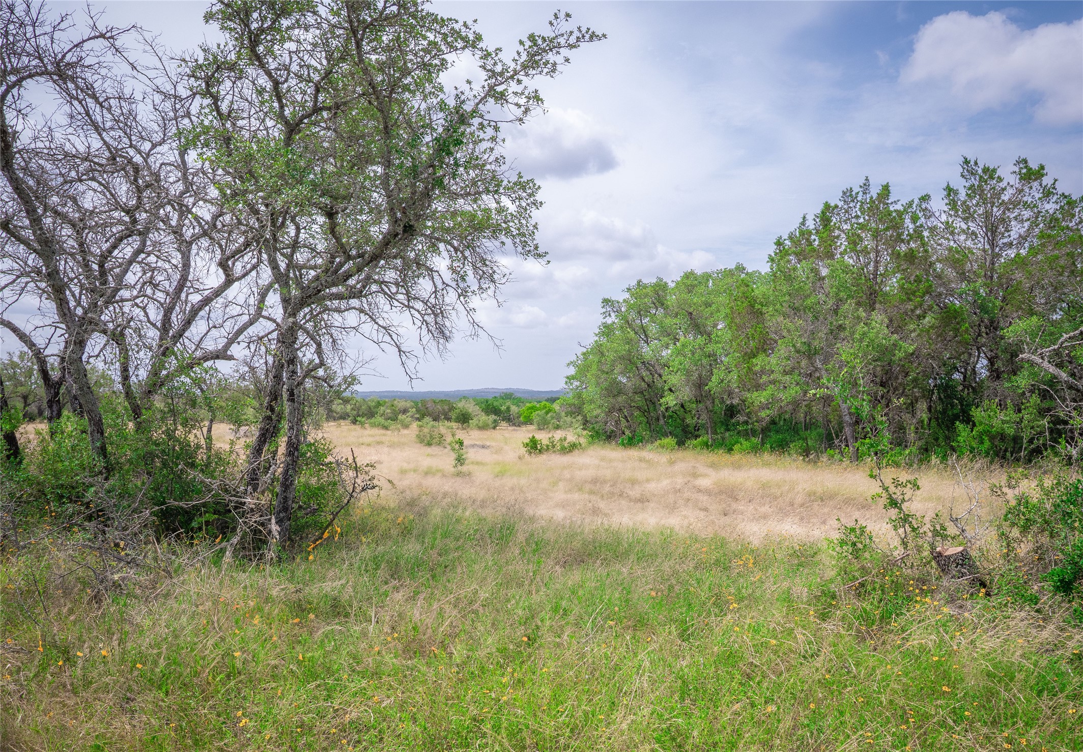 Tbd Winnie Smith Road Round Mountain, TX 78663 - Photo 21 of 30 a view of a yard with a tree