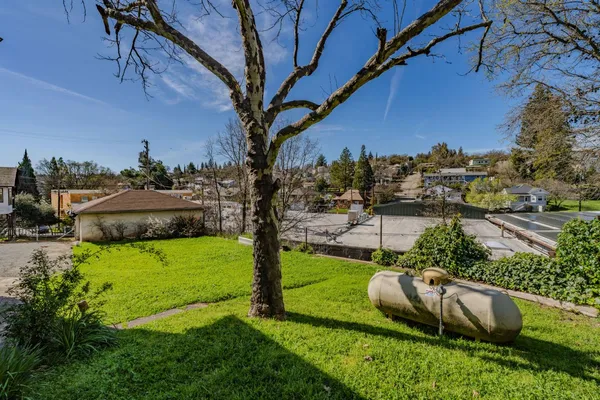 a view of a garden with an outdoor space