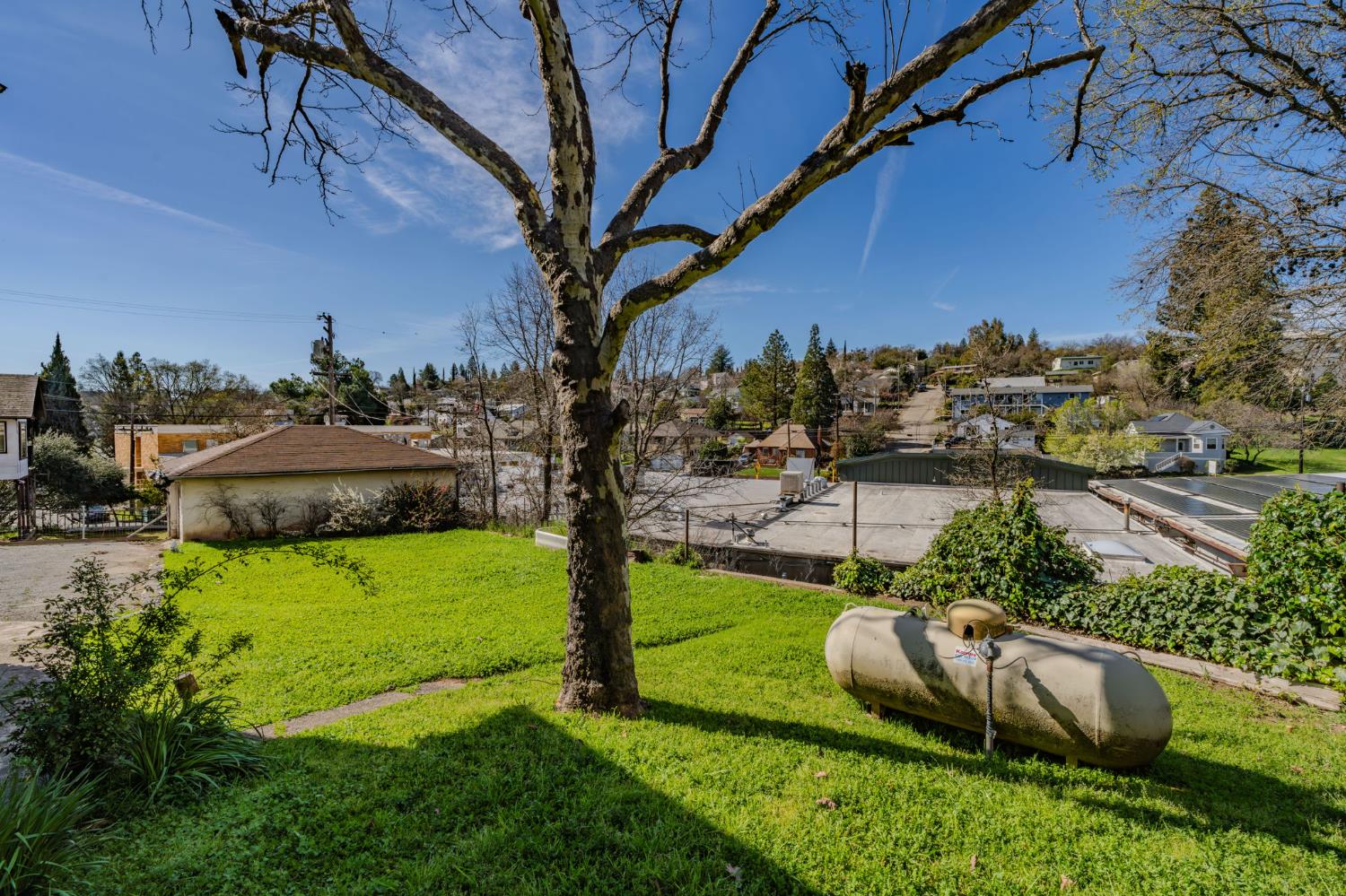 515 North Main Street Jackson, CA 95642 - Photo 3 of 37