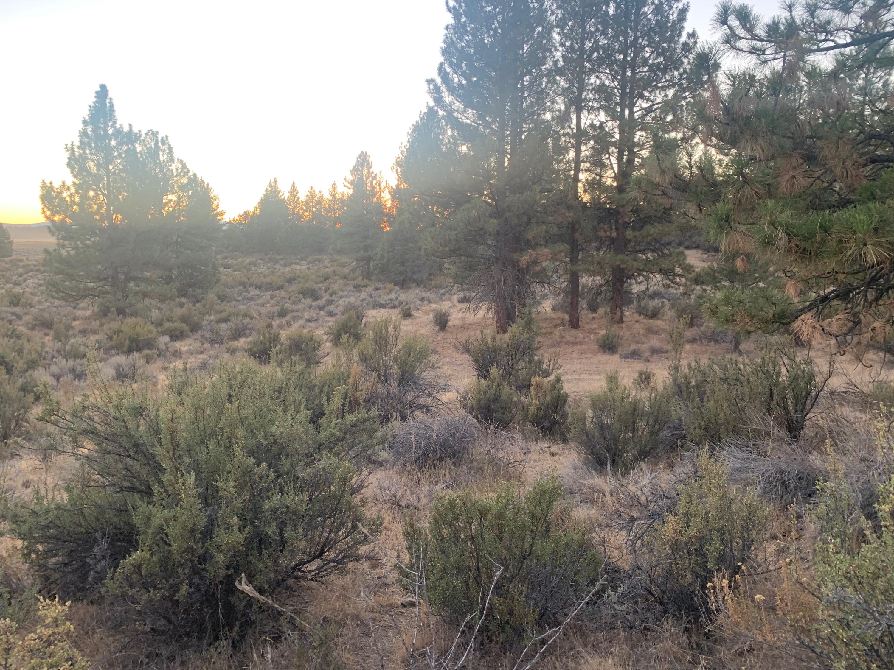 800 Godowa Springs Road Beatty, OR 97621 - Photo 3 of 11 IMG-5218
