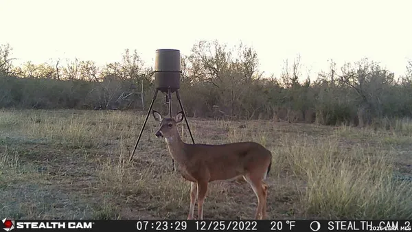 $195,000 | 464 Cr354, Charlotte, TX 78011