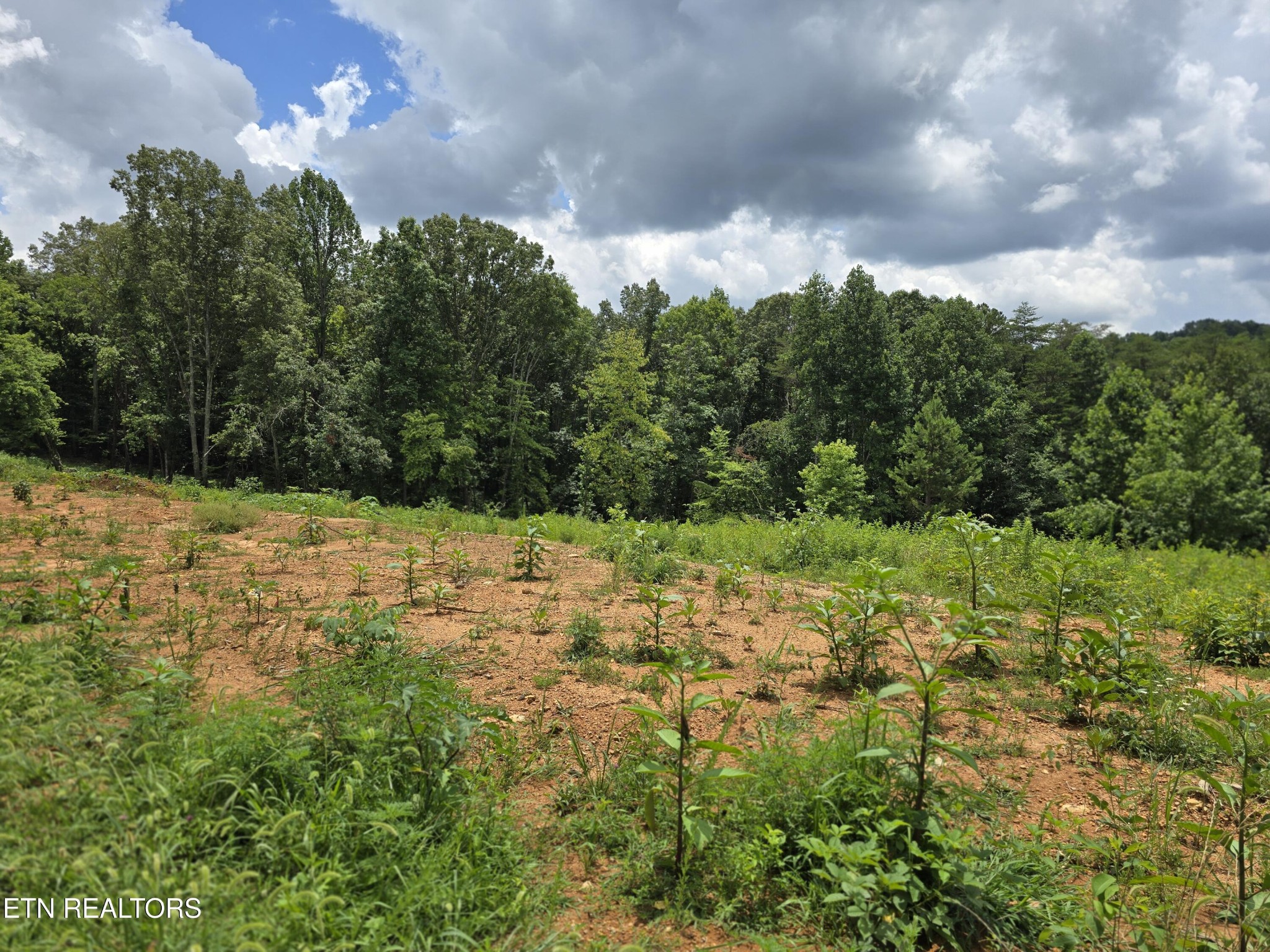 260 Wells Road Powell, TN 37849 - Photo 1 of 11 Gallery Image 1
