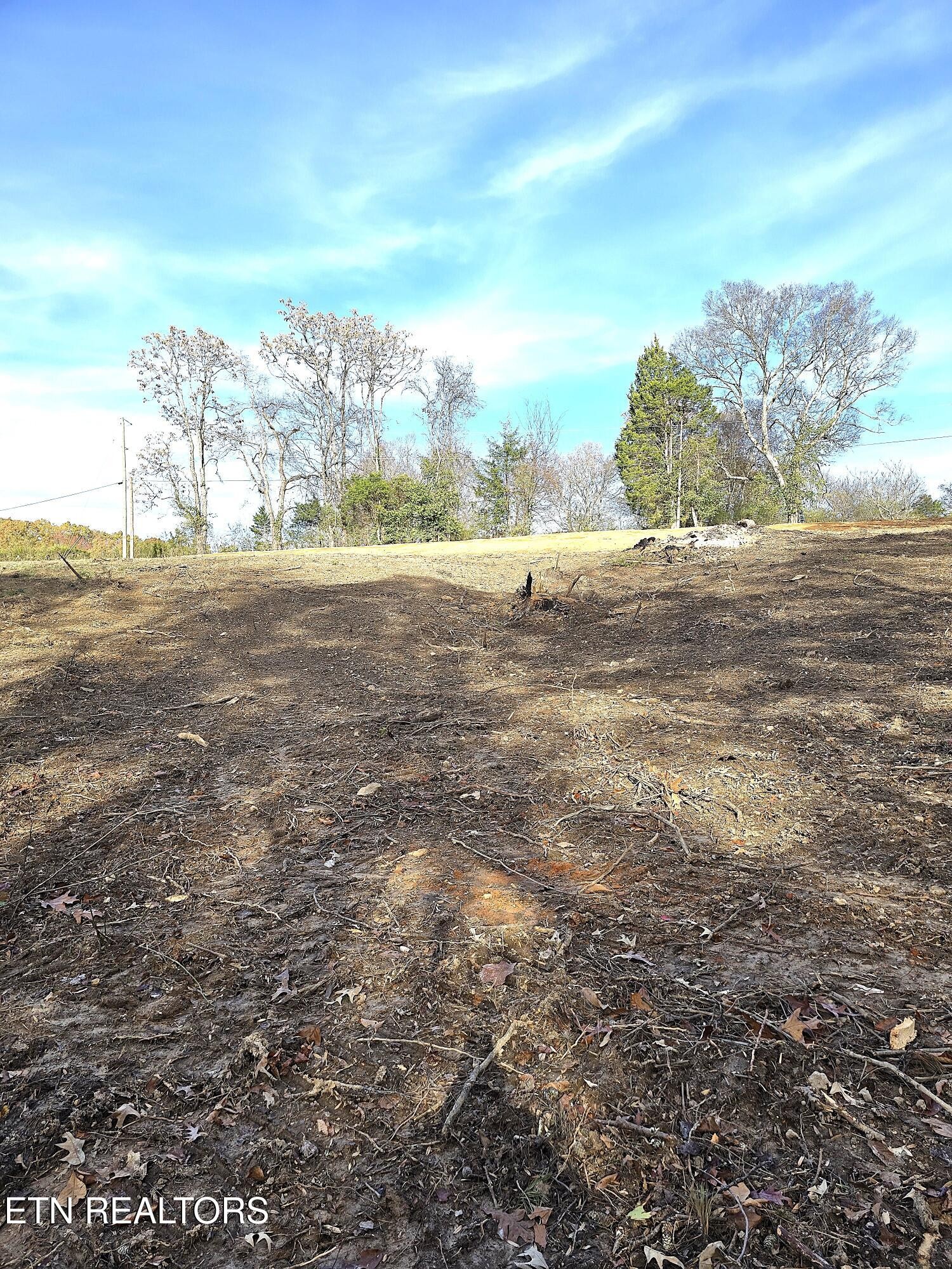260 Wells Road Powell, TN 37849 - Photo 6 of 11 Gallery Image 6