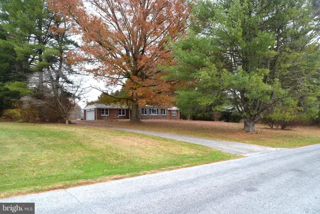 a view of swimming pool with trees in front of it