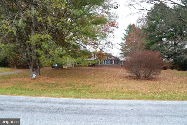 a view of a yard with a tree