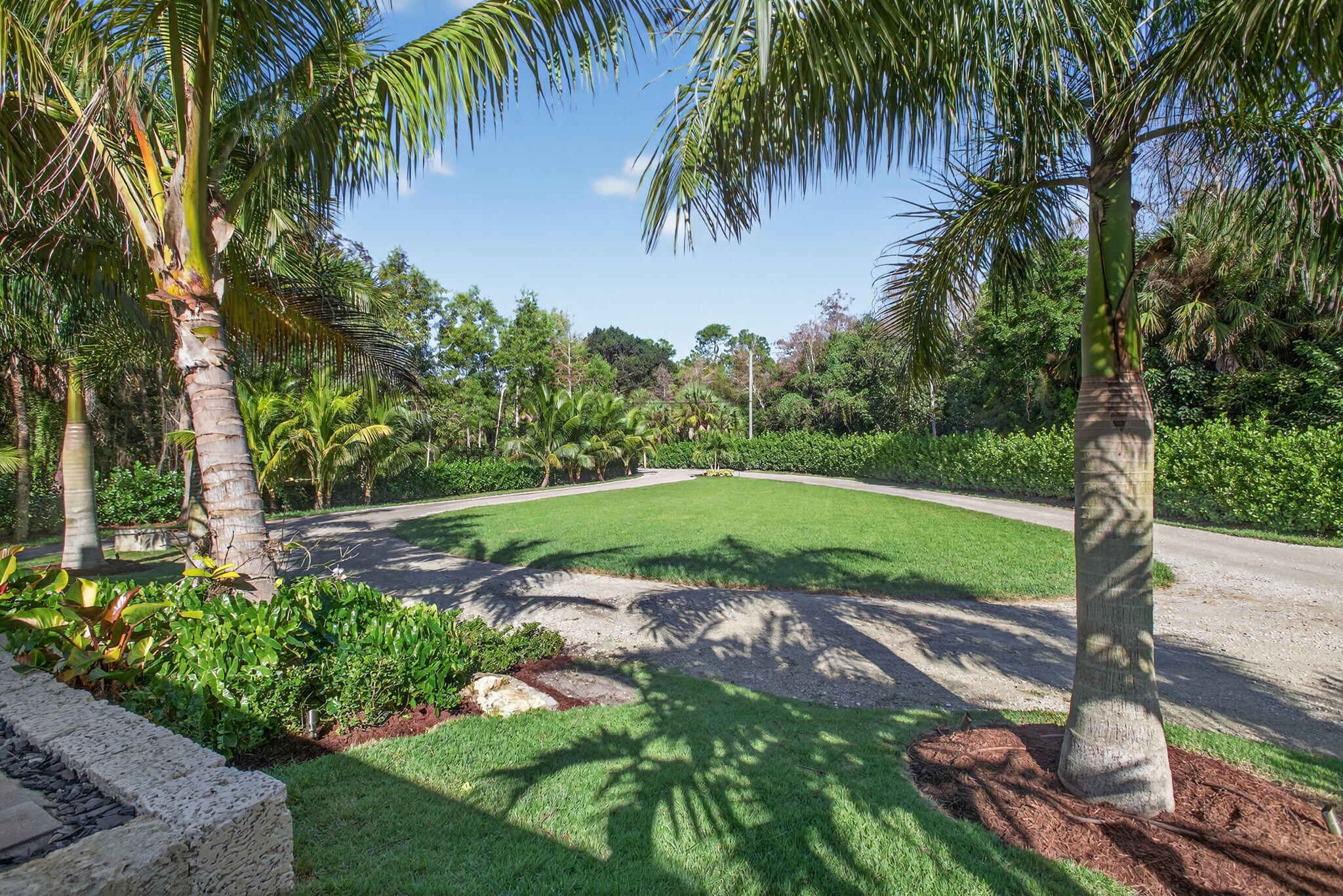 9576 171st Street North Jupiter, FL 33478 - Photo 15 of 36 a view of a yard with a palm tree
