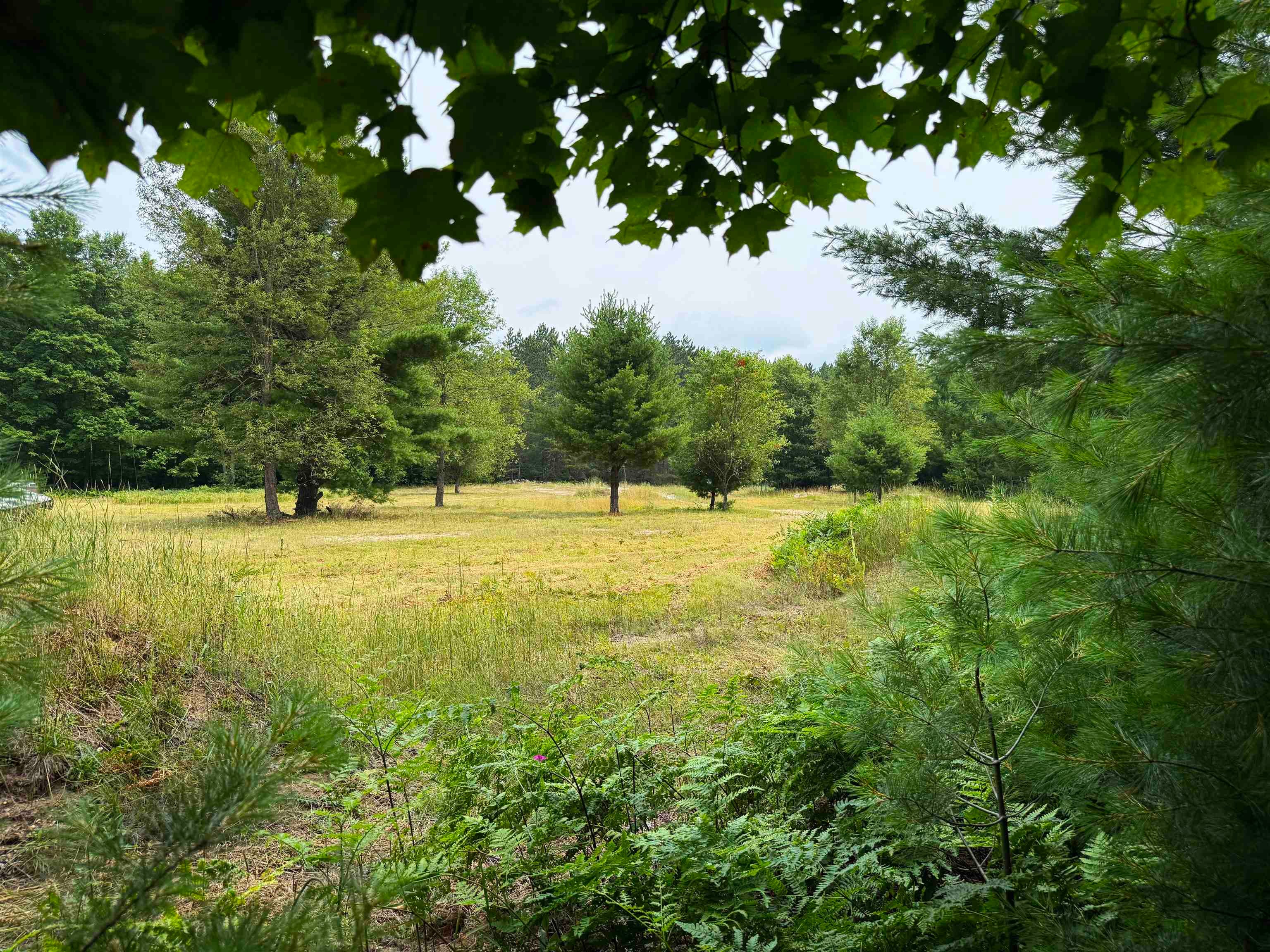 0 Beebe Road Northwest Kalkaska, MI 49646 - Photo 33 of 36