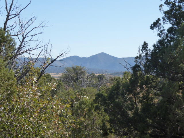 155 Mail Trail Road Young, AZ 85554 - Photo 2 of 6