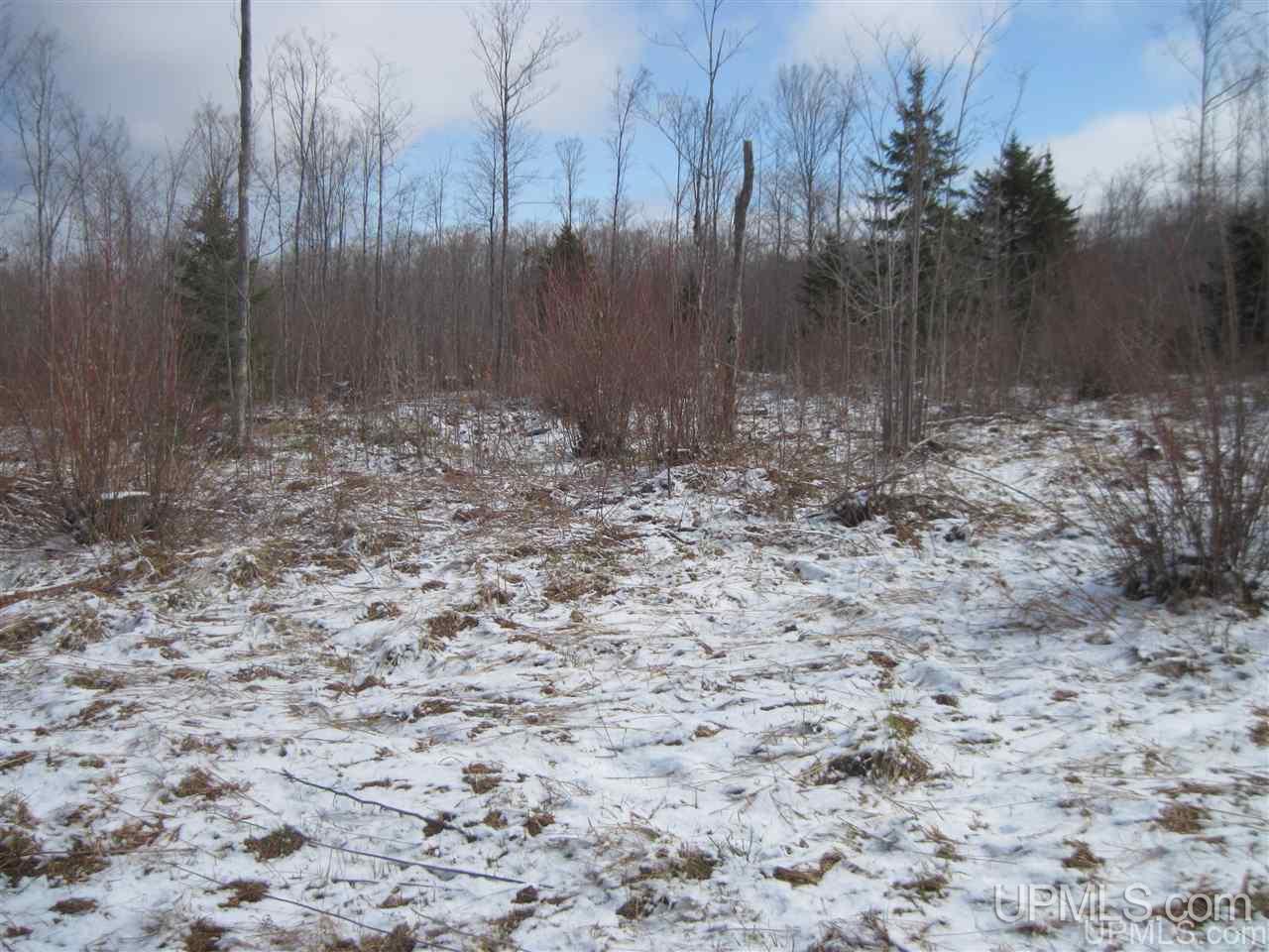 3475 Rd Iron River Iron River, MI 49935 - Photo 3 of 15